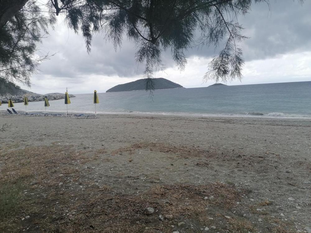 Lilian Beachfront Apartment